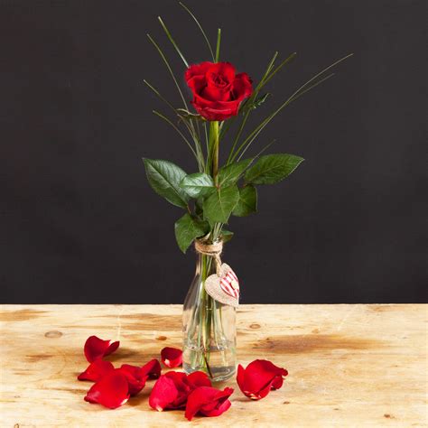 Single Red Valentine Rose – Valueflora