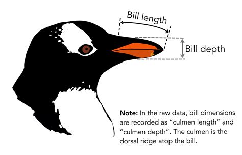 Dataset Pingüinos | Kaggle