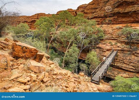 Hiking the Bridge in Kings Canyon, Watarrka National Park, Northern Territory, Australia 11 ...