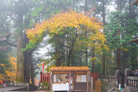 Toshogu Shrine with the Unesco World Heritage Site with Fog in Autumn Season Editorial Photo ...