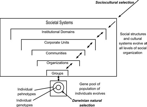 Layers and Levels of Selection and Evolution in the Sociocultural ...