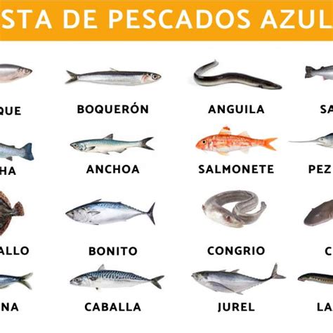 Actualizar 77+ imagen nombres de mariscos y pescados - Abzlocal.mx