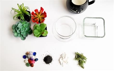 DIY Adorable Succulent planter - The Nomad Studio