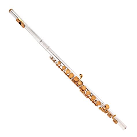 Elkhart 100FLE Student Flute, Silver Plate with Gold Lacquer keys at Gear4music