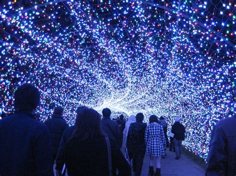 Japan's Spectacular Tunnel of Lights