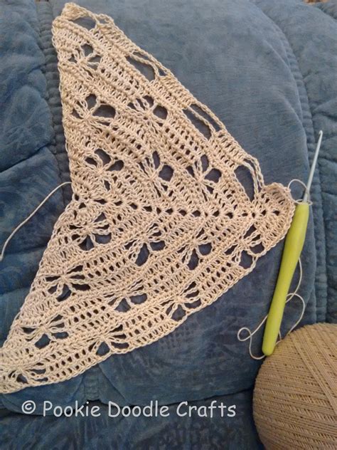 Pookie Doodle Crafts: Butterfly stitch crochet shawl