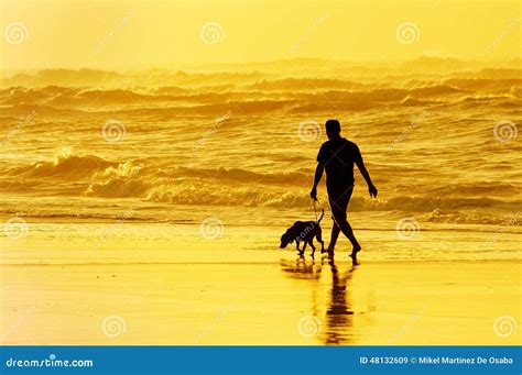 Person Walking The Dog On Beach Stock Photo - Image: 48132609