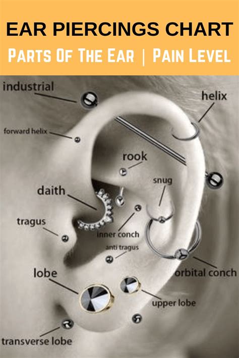 Ear Piercing Types Men