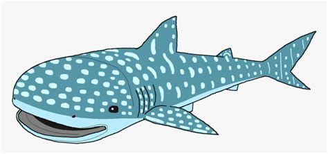 Whale Shark Clipart - Whale Shark Clipart Png, Transparent Png - kindpng