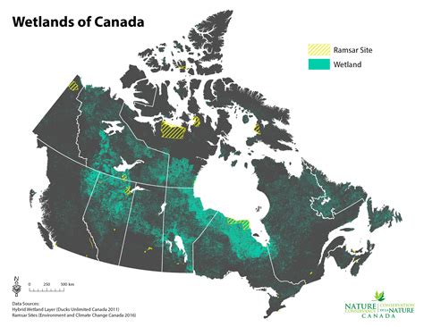 NCC: Why Canada matters on World Wetlands Day