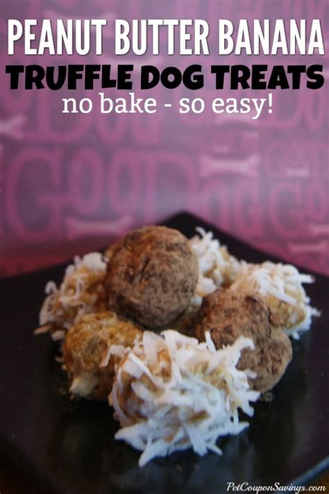 12 Gluten Free Dog Treats Recipes - Pet Coupon Savings