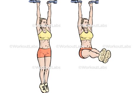 Hanging Leg Raises – WorkoutLabs Exercise Guide