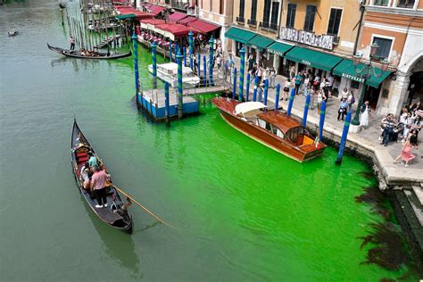 Mystery behind bright green water in Venice Canal solved, officials say - ABC News