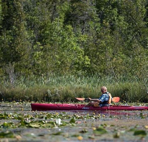 THE 15 BEST Things to Do in Sturgeon Bay - 2023 (with Photos) - Tripadvisor