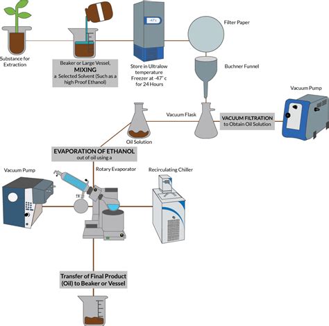 Plant Solvent Extraction Method Using Ethanol: 3 Steps - Cole-Parmer