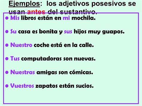 Ejemplos Cuales Son Los Adjetivos Posesivos – Nuevo Ejemplo