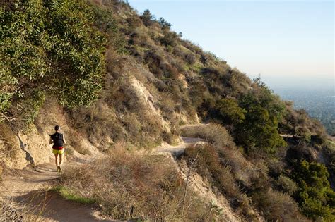 Altadena, Calif.: Open Spaces Above the Sprawl of Los Angeles - The New York Times