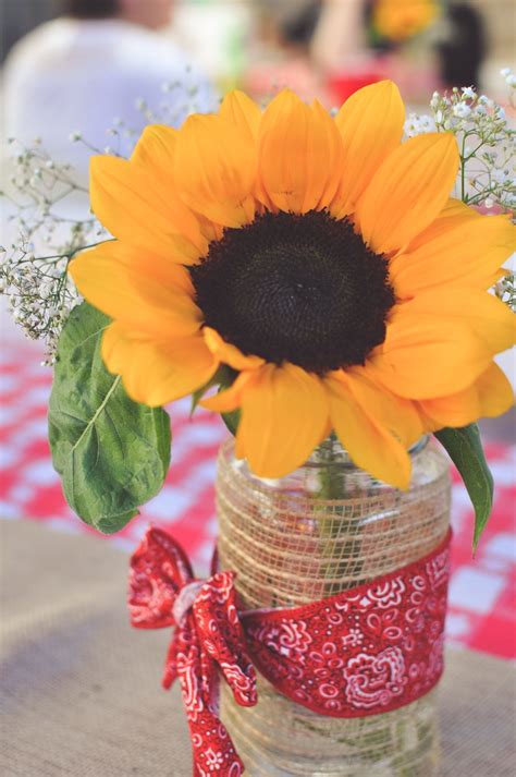 Picnic centerpieces | Picnic centerpieces, Table decorations, Picnic