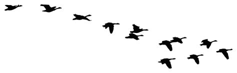 Download #808080 Flock Of Flying Geese Silhouette SVG | FreePNGImg