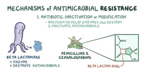 Antibiotic Resistance