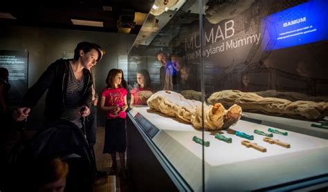 Mummies of the World exhibit coming to Orlando