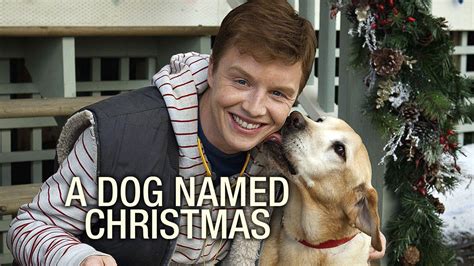 A Dog Named Christmas