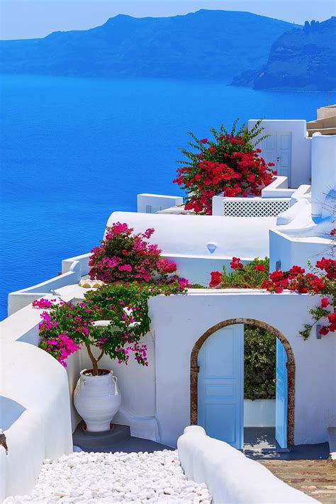 Santorini Wallpaper Flowers