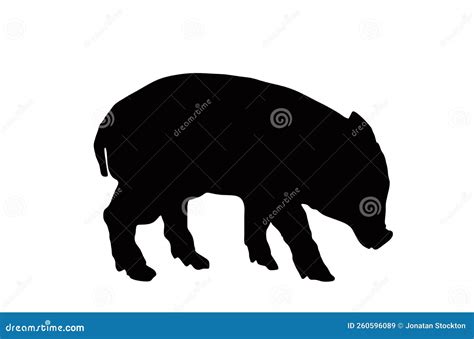 Baby Pig Vector Silhouette Illustration Isolated on White Background ...