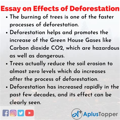 Essay on Effects of Deforestation | Effects of Deforestation Essay for Students and Children in ...