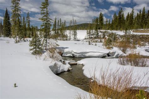 Rocky Mountain Winter Landscape Stock Photo - Image of wintry ...