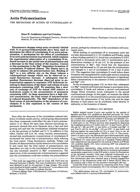 (PDF) Actin polymerization. The mechanism of action of cytochalasin D