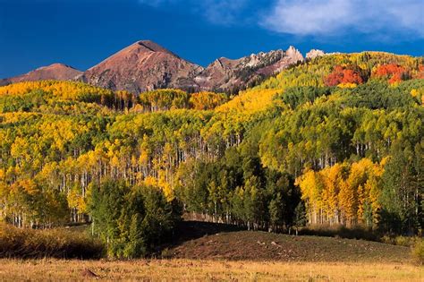 Check Out The Colorado Fall Foliage Map For 2022