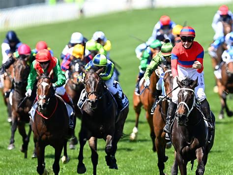 Melbourne Cup | Form Guides, Tips, News & Live Results | news.com.au ...