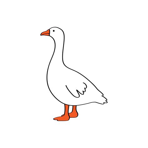 Vector white cartoon goose isolated on white background. Drawing in outline style standing ...