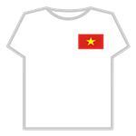 T-Shirt Roblox VN: 10 mẫu áo mang phong cách Roblox thu hút mọi ánh nhìn!