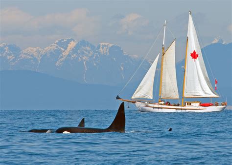 Sailing trip on the West Coast of BC - Tartan Group