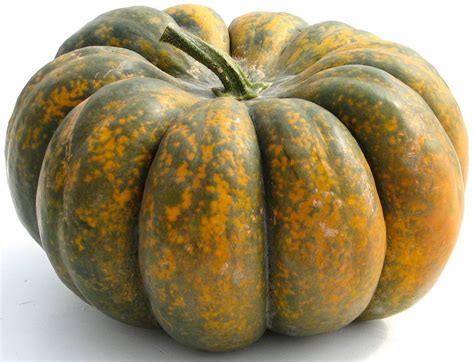 Hutchinson Farm: Heirloom Pumpkins