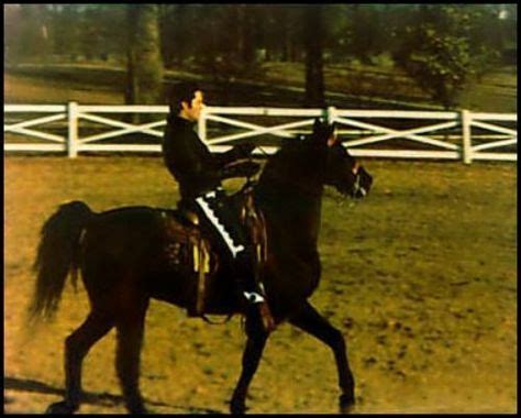 Elvis Presley and his horse Rising Sun | old movies and tv shows ...