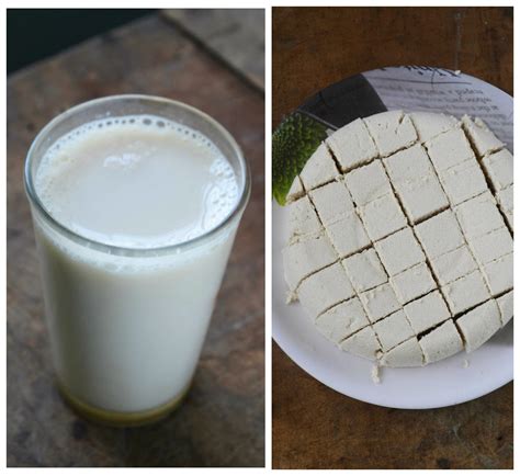 Homemade Soy Milk and Tofu Recipe – Gayathri's Cook Spot