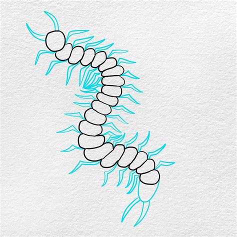 How To Draw Centipede - Employeetheatre Jeffcoocctax