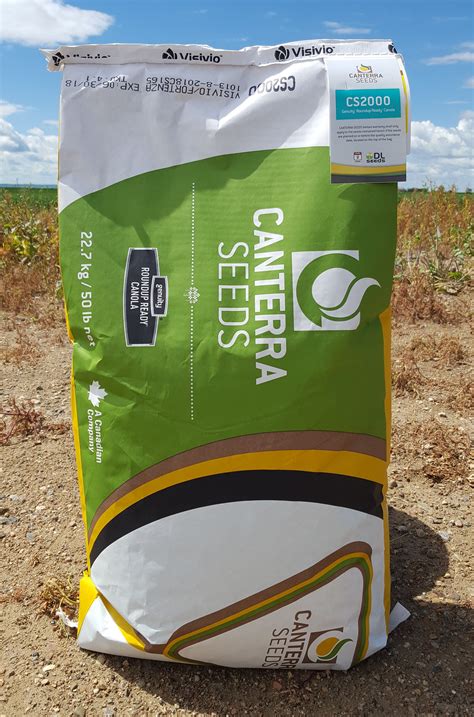 Are You Growing the Wrong Canola Variety? | CANTERRA SEEDS