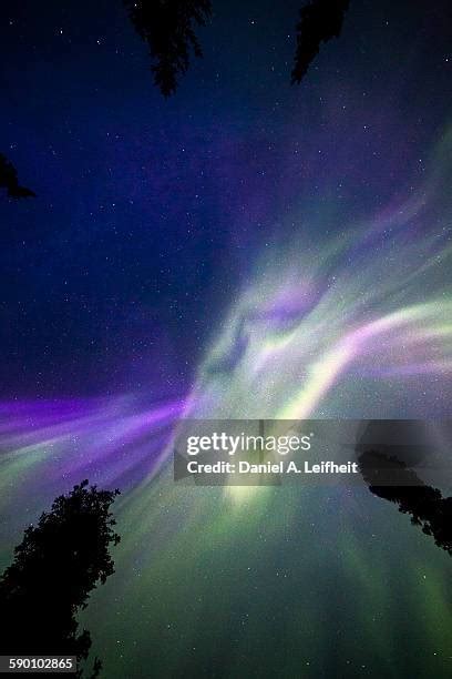 129 Denali National Park Northern Lights Stock Photos, High-Res Pictures, and Images - Getty Images