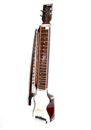 Dilruba - Punjabi Musical Instrument