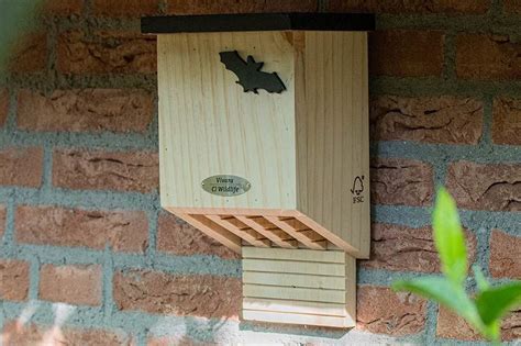 Best bat boxes UK: 7 roosts to install at home - Countryfile.com