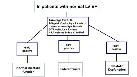 Left ventricular diastolic function in type 2 diabetes mellitus is associated with myocardial ...