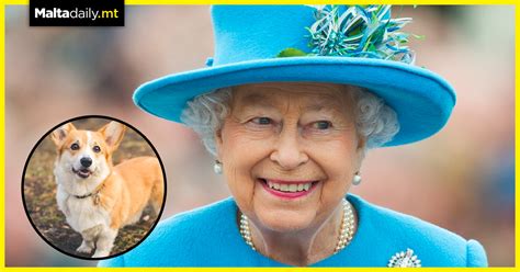 New corgi puppy for Queen Elizabeth after death of dog Fergus