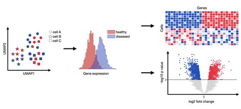 Heatmap Differential Gene Expression Analysis Biocode - vrogue.co