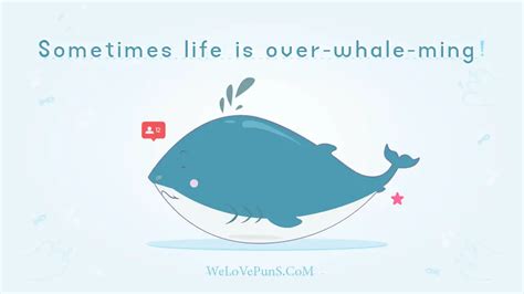 41 Whale Puns That Will Blow You Away This Year