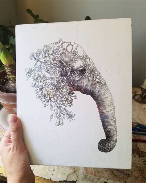 My Elephant drawing, complete with flowers and vines. | Elephant drawing, Flower drawing ...