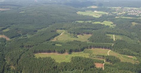 German Archaeologists Unearth Three Mass Graves in the Arnsberg Forest ...